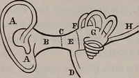 An illustration from A natural philosophy : embracing the most recent discoveries in the various branches of physics, and exhibiting the application of scientific principles in everyday life .. (1899)