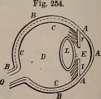 An illustration from A natural philosophy : embracing the most recent discoveries in the various branches of physics, and exhibiting the application of scientific principles in everyday life .. (1899)