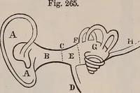 An illustration from A natural philosophy : embracing the most recent discoveries in the various branches of physics, and exhibiting the application of scientific principles in everyday life .. (1899)