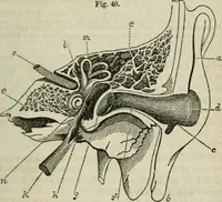 An illustration from Natural philosophy. including statics, hydrostatics, pneumatics, dynamics, hydrodynamics, the general theory of undulations, the science of sound, the mechanical theory of music, etc. : designed for the use of normal and grammar schools, and the higher classes in common schools (1861)