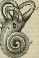 An illustration from Natural philosophy. including statics, hydrostatics, pneumatics, dynamics, hydrodynamics, the general theory of undulations, the science of sound, the mechanical theory of music, etc. : designed for the use of normal and grammar schools, and the higher classes in common schools (1861)