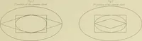 Picture 14 of 23 from The natural principles and analogy of the harmony of form (1842), leaf 84