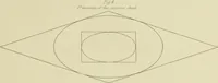 Picture 15 of 23 from The natural principles and analogy of the harmony of form (1842), leaf 84