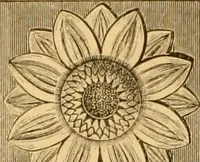 An illustration from Natural wood ornaments : for furniture manufacturers, architects, builders, interior decorators, stair builders, car builders, organ manufacturers, steamboat builders, etc., etc. (1883)