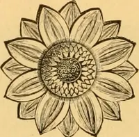 An illustration from Natural wood ornaments : for furniture manufacturers, architects, builders, interior decorators, stair builders, car builders, organ manufacturers, steamboat builders, etc., etc. (1883)