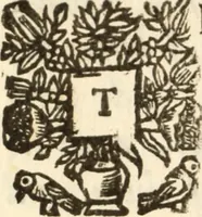 Picture 2 of 4 from A treatise of the nature of a minister in all its offices : To which is annexed an answer to Doctor Forbes concerning the necessity of bishops to ordain. Which is an answer to a question proposed in these late unhappy times to the author, What is a minister? (1670), leaf 11