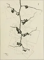 An illustration from Nature drawing from various points of view (1910)