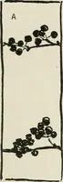 An illustration from Nature drawing from various points of view (1910)