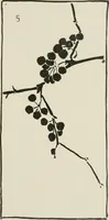 An illustration from Nature drawing from various points of view (1910)