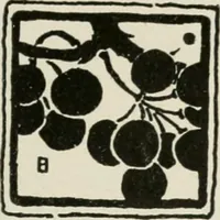 Picture 83 of 133 from Nature drawing from various points of view (1910), leaf 108