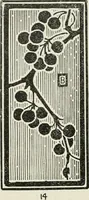 Picture 85 of 133 from Nature drawing from various points of view (1910), leaf 109