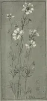 An illustration from Nature drawing from various points of view (1910)