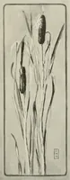 An illustration from Nature drawing from various points of view (1910)