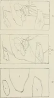 Picture 90 of 133 from Nature drawing from various points of view (1910), leaf 122