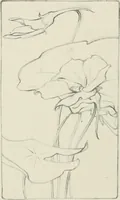 An illustration from Nature drawing from various points of view (1910)
