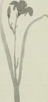 An illustration from Nature drawing from various points of view (1910)