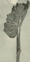 An illustration from Nature drawing from various points of view (1910)