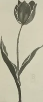 An illustration from Nature drawing from various points of view (1910)