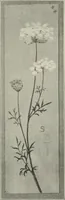 An illustration from Nature drawing from various points of view (1910)
