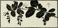 An illustration from Nature drawing from various points of view (1910)