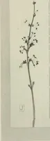 An illustration from Nature drawing from various points of view (1910)