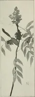 An illustration from Nature drawing from various points of view (1910)