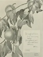 An illustration from Nature drawing from various points of view (1910)