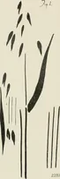 An illustration from Nature drawing from various points of view (1910)