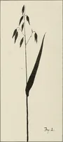 An illustration from Nature drawing from various points of view (1910)