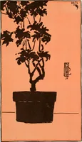 Picture 116 of 133 from Nature drawing from various points of view (1910), leaf 152