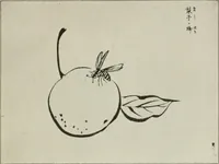 Picture 126 of 133 from Nature drawing from various points of view (1910), leaf 166