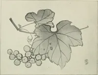 An illustration from Nature drawing from various points of view (1910)