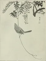 An illustration from Nature drawing from various points of view (1910)
