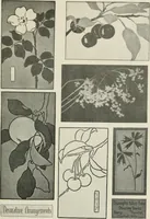 An illustration from Nature drawing from various points of view (1910)