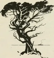 An illustration from Nature drawing from various points of view (1910)