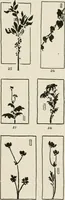An illustration from Nature drawing from various points of view (1910)