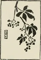 An illustration from Nature drawing from various points of view (1910)