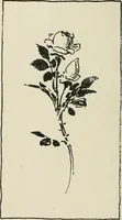 An illustration from Nature drawing from various points of view (1910)