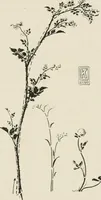 An illustration from Nature drawing from various points of view (1910)
