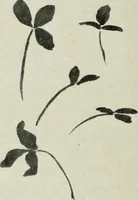 An illustration from Nature drawing from various points of view (1910)