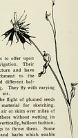 An illustration from Nature drawing from various points of view (1910)