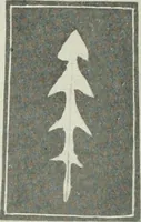 Picture 23 of 133 from Nature drawing from various points of view (1910), leaf 47