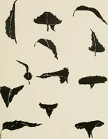 Picture 24 of 133 from Nature drawing from various points of view (1910), leaf 50