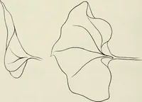 An illustration from Nature drawing from various points of view (1910)
