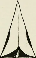 An illustration from Nature drawing from various points of view (1910)