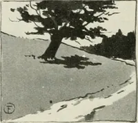 An illustration from Nature drawing from various points of view (1910)