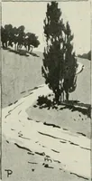 An illustration from Nature drawing from various points of view (1910)