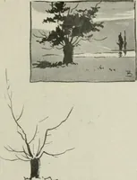 An illustration from Nature drawing from various points of view (1910)