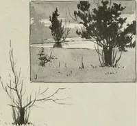 An illustration from Nature drawing from various points of view (1910)