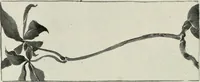 An illustration from Nature drawing from various points of view (1910)